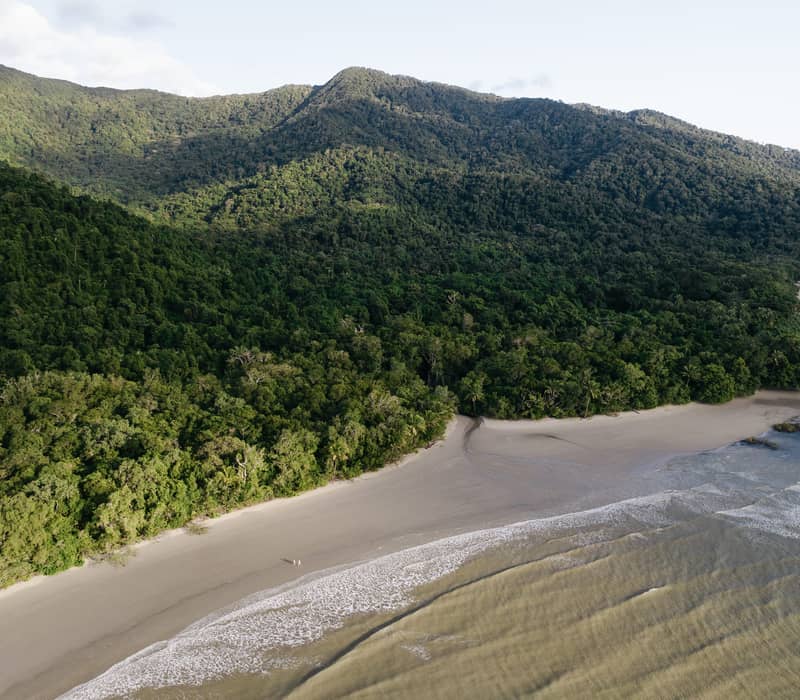 An aerial perspective of Cape Tribulation, where the lush Daintree Rainforest meets the white sands of the Coral Sea