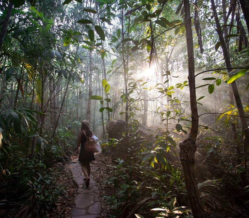 A woman walks along a stone-paved path through the misty monsoon rainforest of Litchfield National Park, with bright sunbeams filtering through the dense tropical canopy.