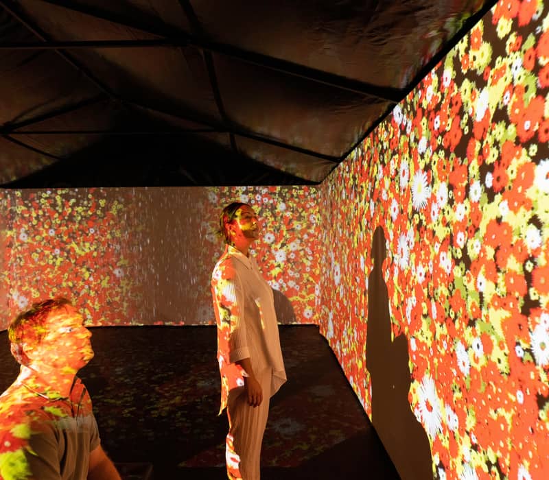 Visitors stand within an immersive digital art installation at the Museum and Art Gallery of the Northern Territory, with floral patterns projected across the walls and their clothing.