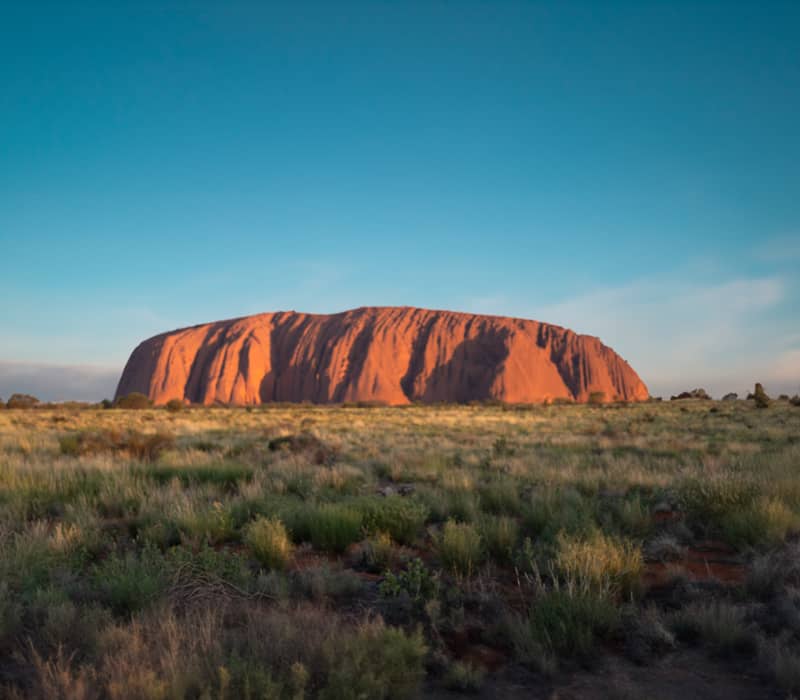 A wide panoramic shot of the entire Uluru monolith standing alone in the desert. The rock is illuminated in bright orange-red light, with low-lying green and yellow desert scrub in the foreground under a clear, pale blue sky.