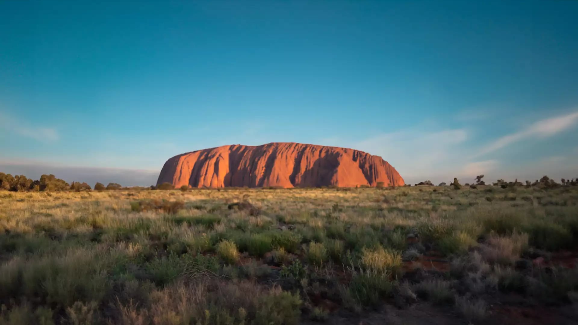 A wide panoramic shot of the entire Uluru monolith standing alone in the desert. The rock is illuminated in bright orange-red light, with low-lying green and yellow desert scrub in the foreground under a clear, pale blue sky.