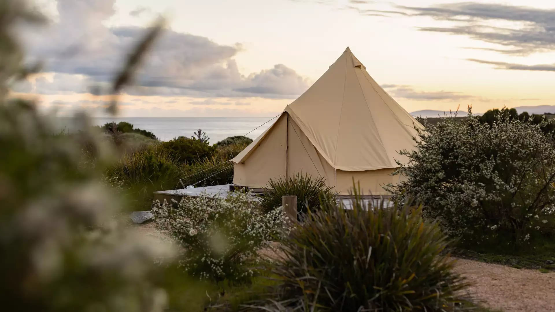 A cream-colored canvas bell tent stands on a raised wooden platform amidst low-lying coastal shrubs and native grasses. In the background, a soft sunset glows through a layer of clouds over the distant ocean horizon.